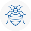 Bed Bug Extermination In Wolverhampton